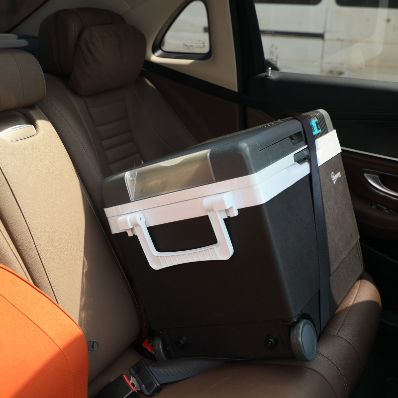 Bilkylbox 33 liter DC 12V AC 220V/240V - Bild 3