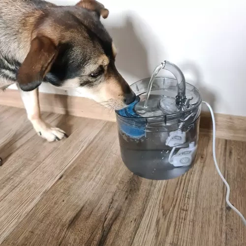 Vattendispenser för husdjur - Bild 2