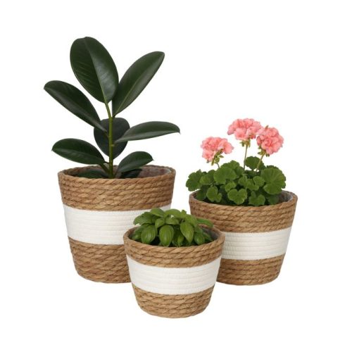 Växtkrukor 3-pack