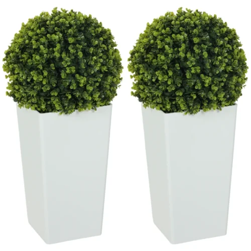 Konstväxt 2-pack Buxbom med krukor