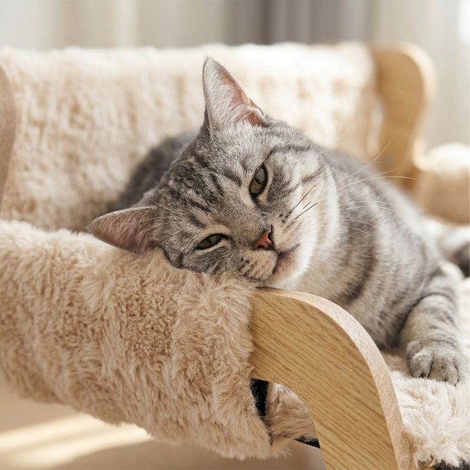 Kattbädd plysch - Bild 3